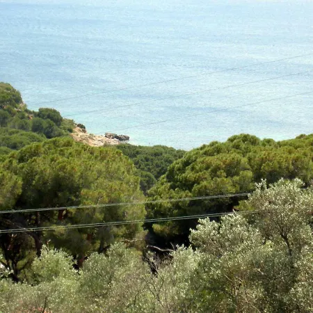 Bartolini Capoliveri (Isola d'Elba)